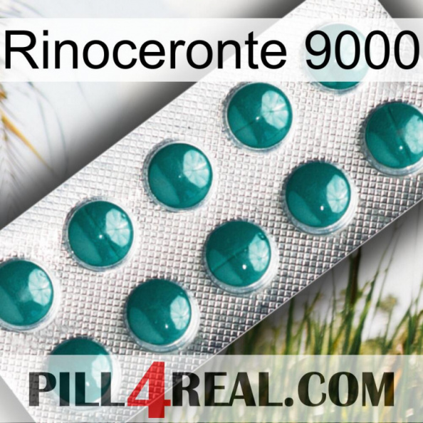 Rhino 9000 dapoxetine1.jpg